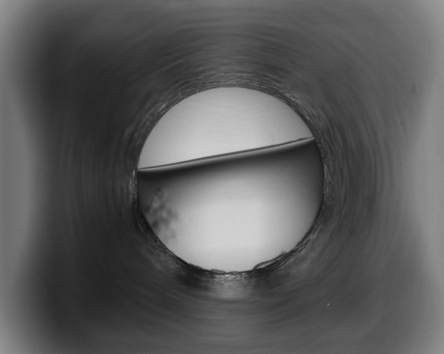 X0000099490240200805150935