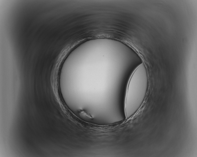 X0000099490241200805150934