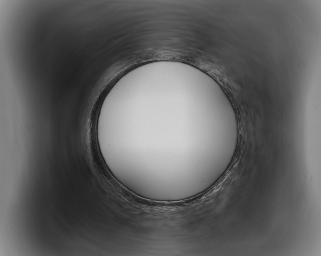 X0000099490242200805150934
