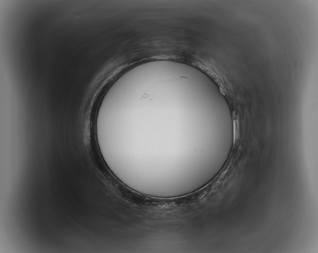 X0000099490243200805150934