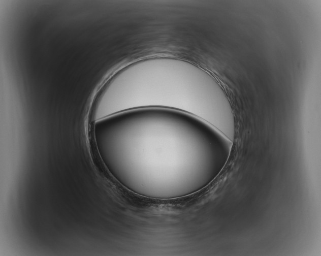 X0000099490244200805150934