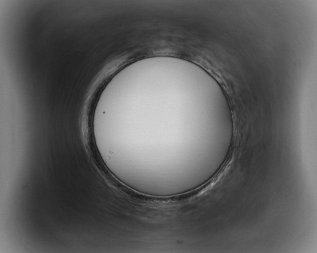 X0000099490245200805150934