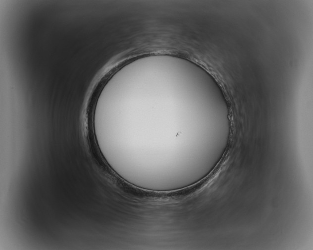 X0000099490246200805150934