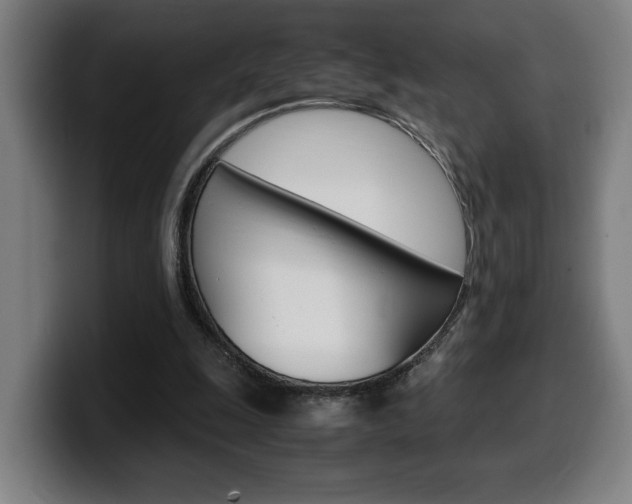 X0000099490247200805150934