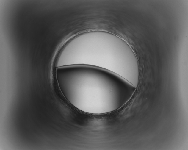 X0000099490248200805150934