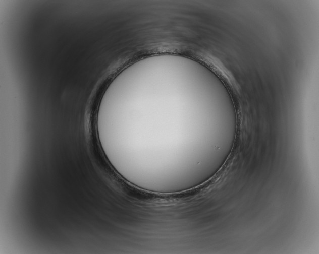 X0000099490250200805150934