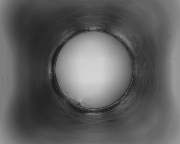 X0000099490251200805150934