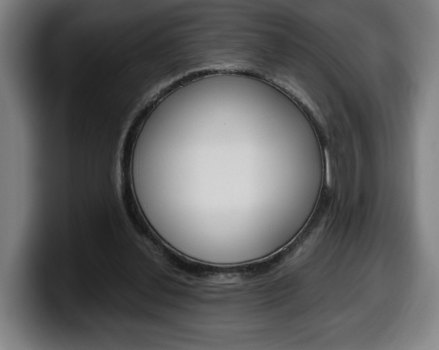 X0000099490252200805150934