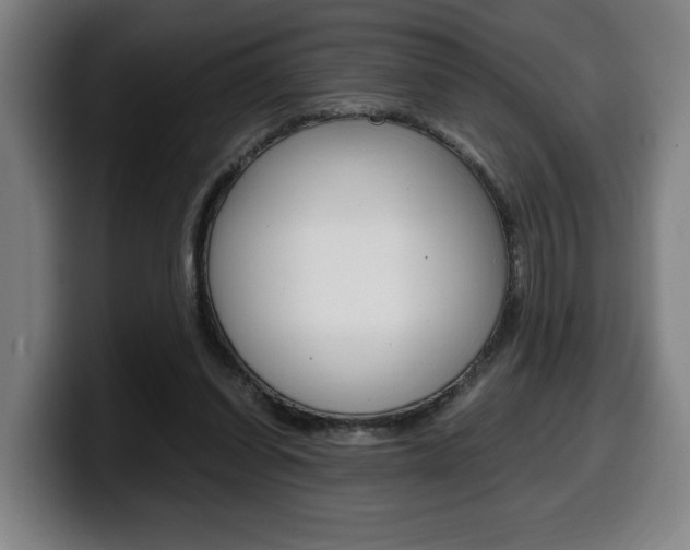 X0000099490254200805150934