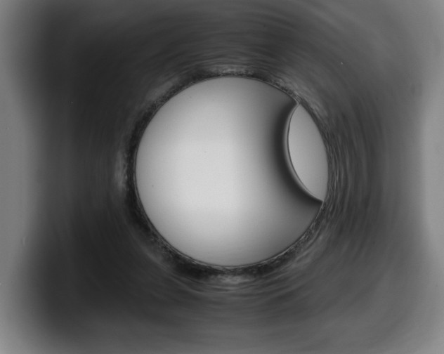 X0000099490255200805150934
