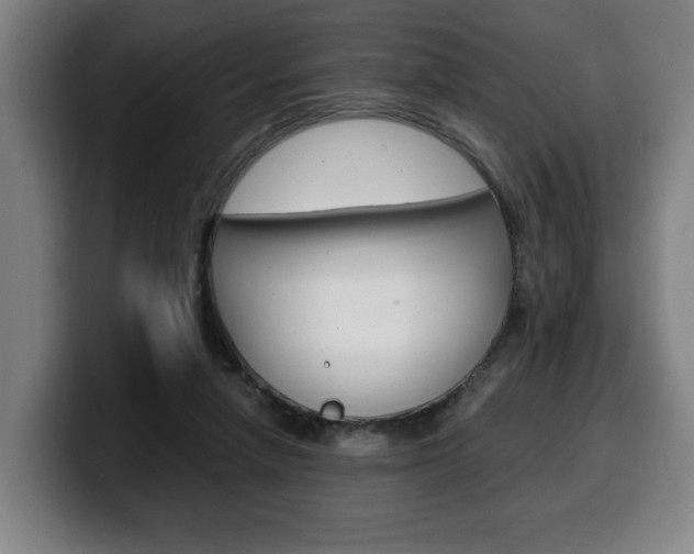 X0000099490258200805150934