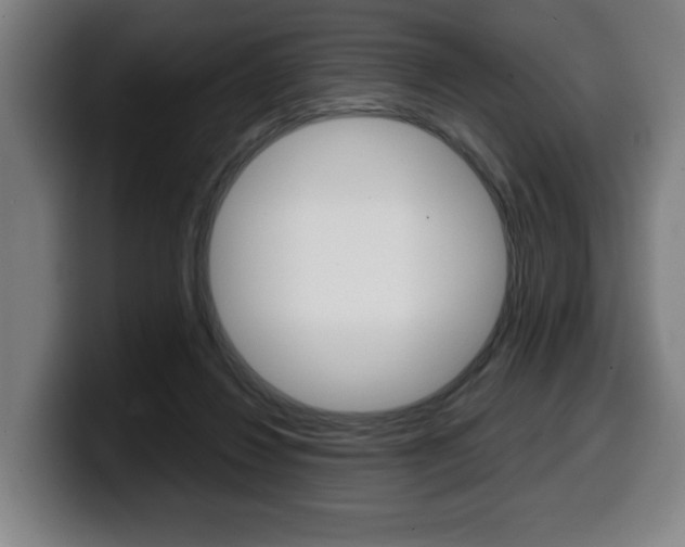 X0000099490260200805150934