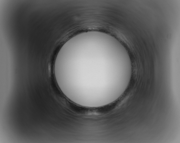 X0000099490262200805150934