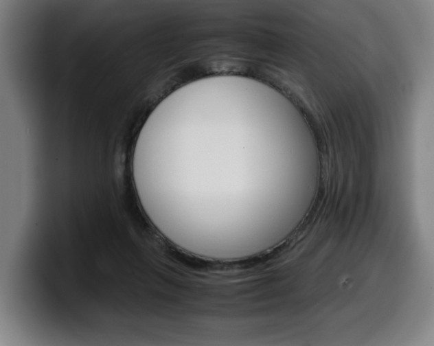 X0000099490263200805150934