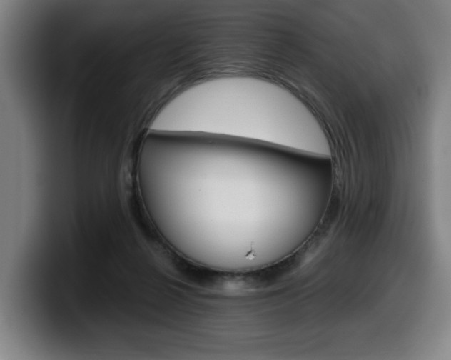 X0000099490264200805150934