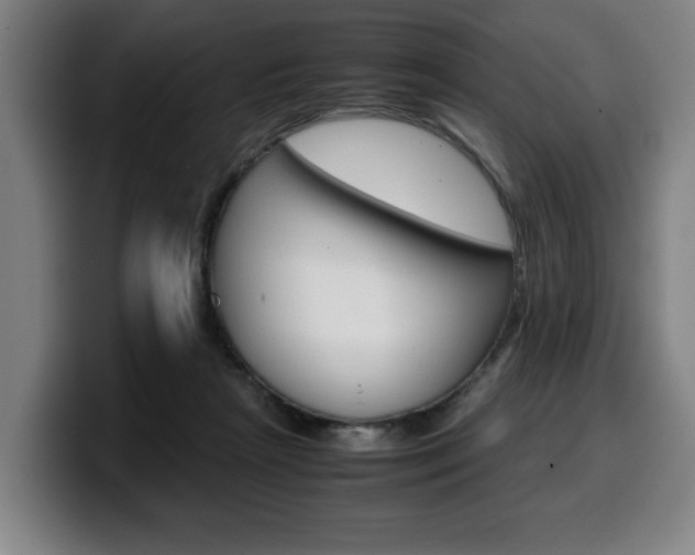 X0000099490265200805150934