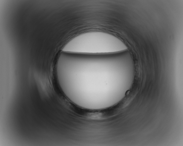 X0000099490266200805150934