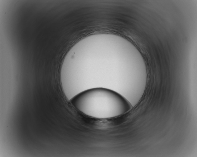 X0000099490269200805150934