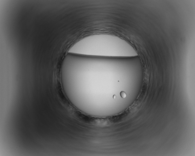 X0000099490272200805150934