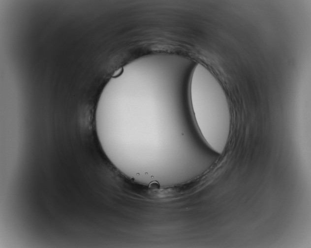 X0000099490273200805150934