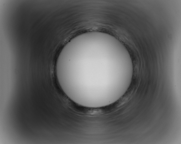 X0000099490274200805150934