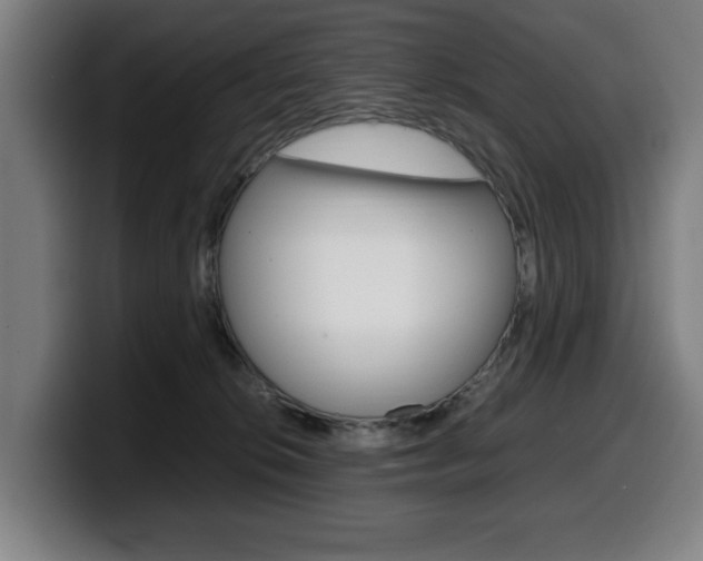 X0000099490276200805150934