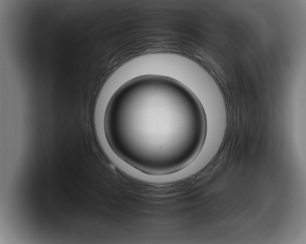 X0000099490277200805150934