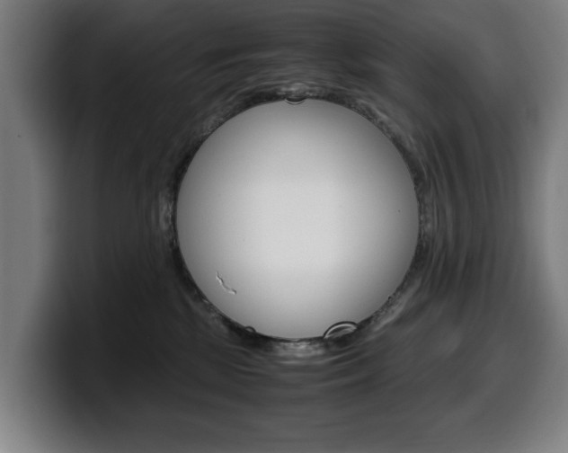 X0000099490281200805150934