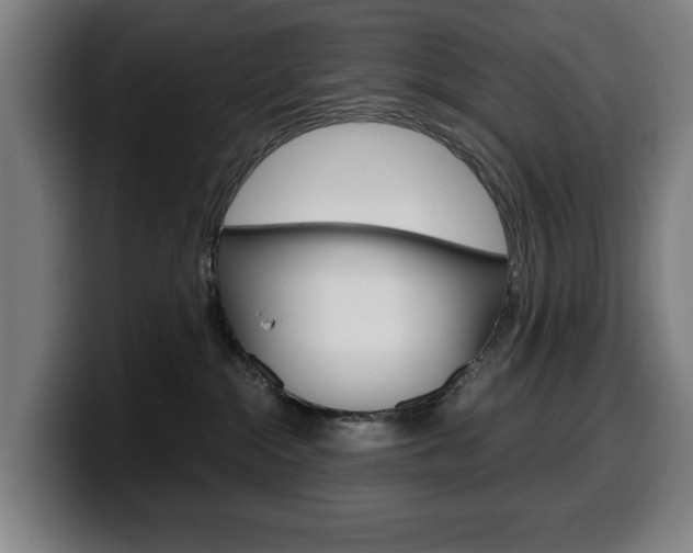 X0000099490284200805150934
