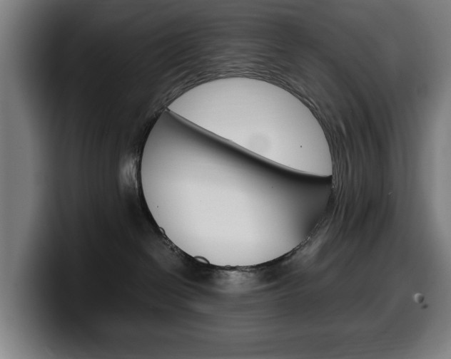 X0000099490286200805150934