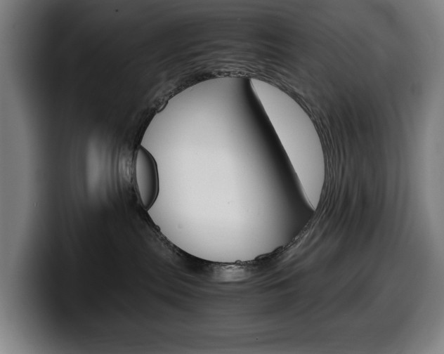 X0000099490287200805150934