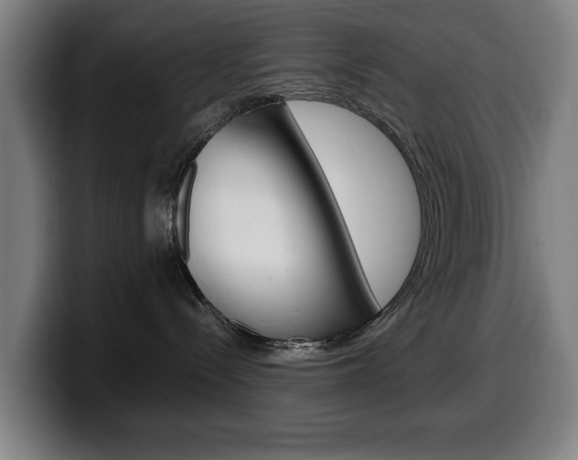 X0000099490288200805150934