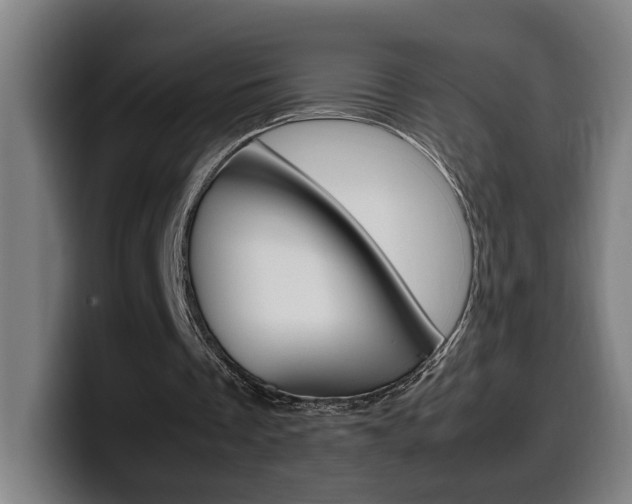 X0000099490289200805150934