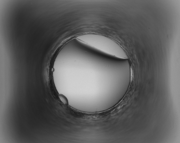 X0000099490291200805150934