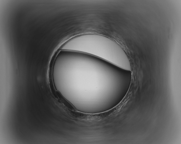 X0000099490292200805150934