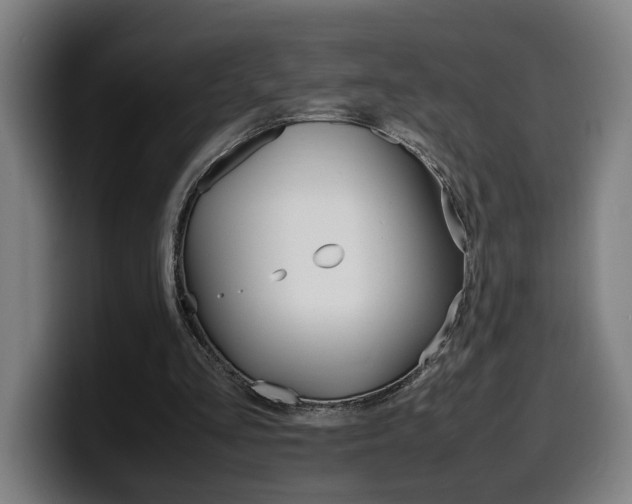 X0000099490293200805150934