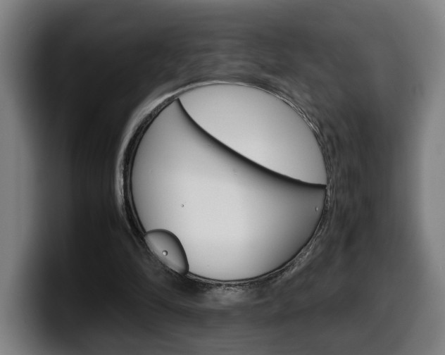 X0000099490294200805150934