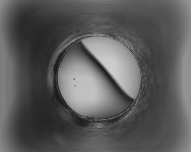 X0000099490295200805150934
