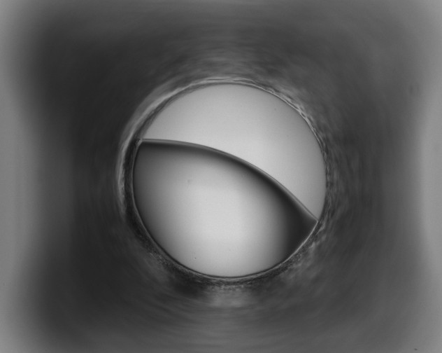 X0000099490296200805150934