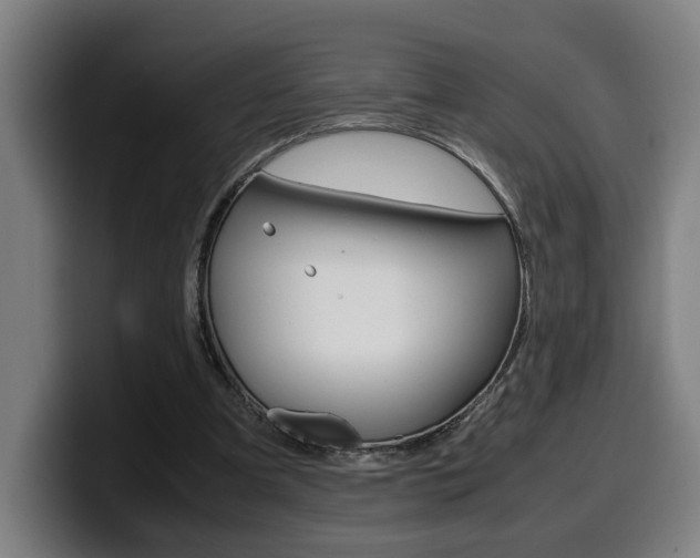 X0000099490297200805150934