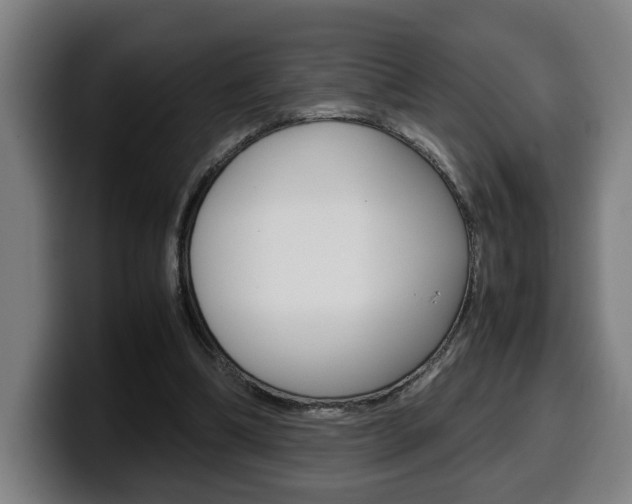 X0000099490298200805150934