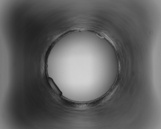 X0000099490301200805150934