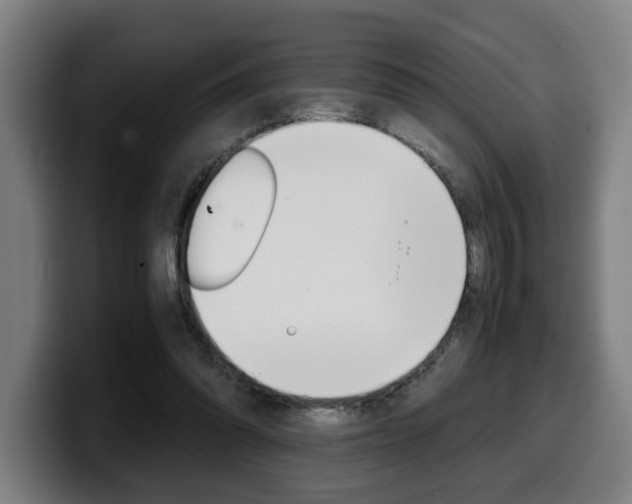 X0000099490302200805150934