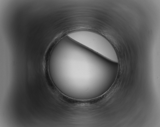 X0000099490304200805150934