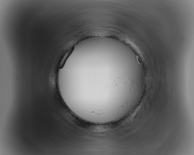 X0000099490305200805150934