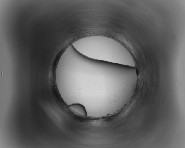 X0000099490306200805150934