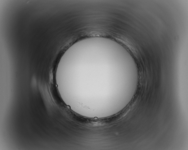 X0000099490310200805150934