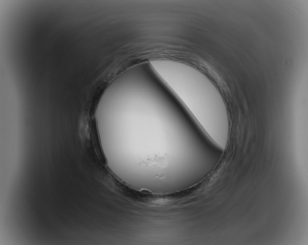 X0000099490313200805150933