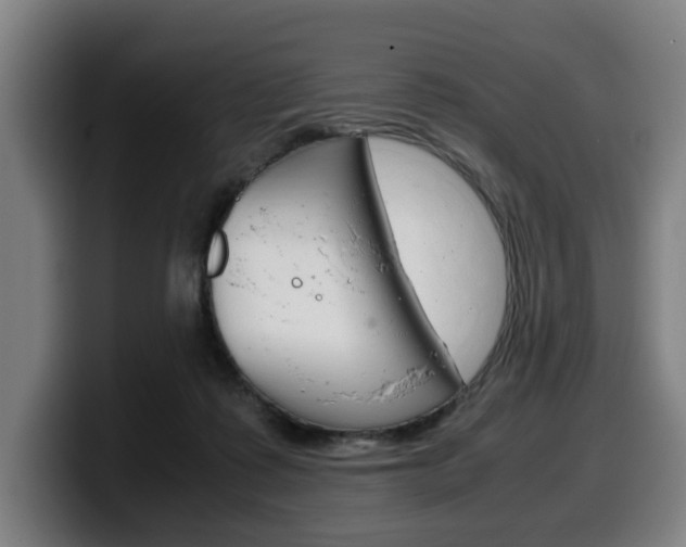 X0000099490315200805150933