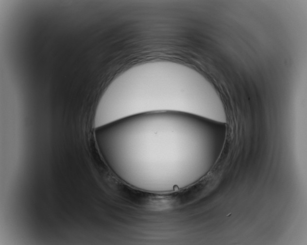X0000099490316200805150933